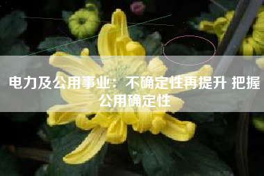 电力及公用事业：不确定性再提升 把握公用确定性