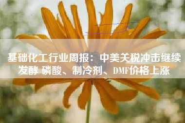 基础化工行业周报：中美关税冲击继续发酵 磷酸、制冷剂、DMF价格上涨