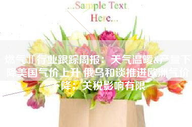 燃气Ⅱ行业跟踪周报：天气温暖&产量下降美国气价上升 俄乌和谈推进欧洲气价下降；关税影响有限
