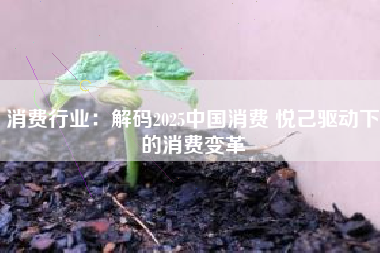 消费行业：解码2025中国消费 悦己驱动下的消费变革