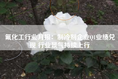 氟化工行业月报：制冷剂企业Q1业绩兑现 行业景气持续上行