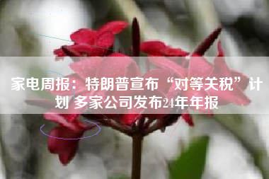 家电周报：特朗普宣布“对等关税”计划 多家公司发布24年年报