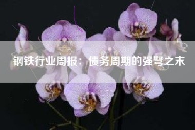 钢铁行业周报：债务周期的强弩之末