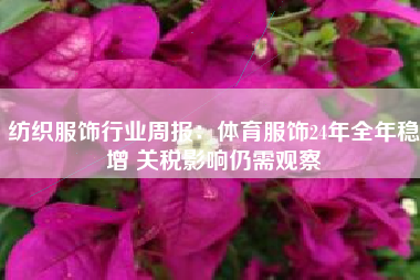 纺织服饰行业周报：体育服饰24年全年稳增 关税影响仍需观察