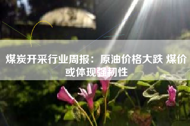 煤炭开采行业周报：原油价格大跌 煤价或体现强韧性