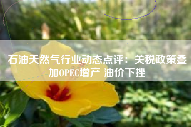 石油天然气行业动态点评：关税政策叠加OPEC增产 油价下挫