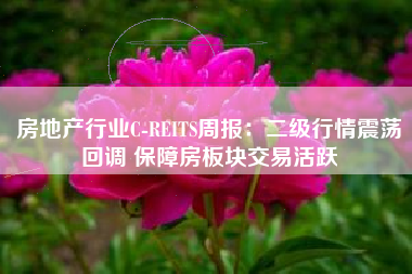 房地产行业C-REITS周报：二级行情震荡回调 保障房板块交易活跃