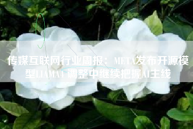 传媒互联网行业周报：META发布开源模型LIAMA4 调整中继续把握AI主线