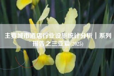 主要城市酒店行业设施统计分析｜系列报告之三亚篇(2025)