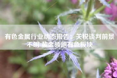 有色金属行业动态报告：关税谈判前景不明 黄金领跑有色板块