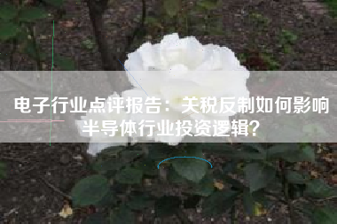 电子行业点评报告：关税反制如何影响半导体行业投资逻辑？