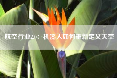 航空行业2.0：机器人如何重新定义天空