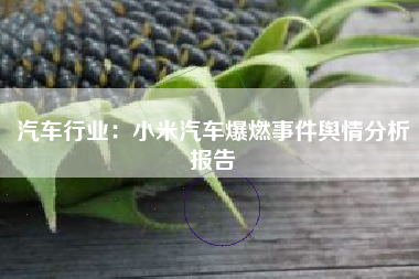 汽车行业：小米汽车爆燃事件舆情分析报告