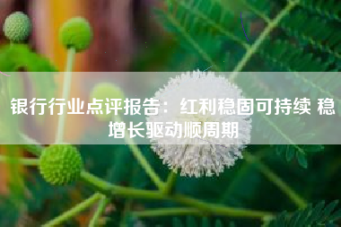 银行行业点评报告：红利稳固可持续 稳增长驱动顺周期