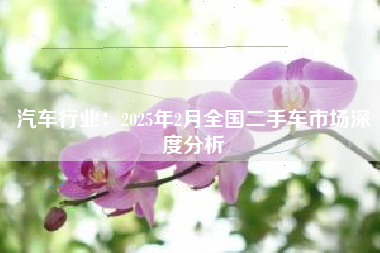 汽车行业：2025年2月全国二手车市场深度分析
