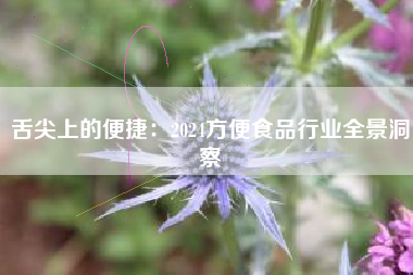 舌尖上的便捷：2024方便食品行业全景洞察