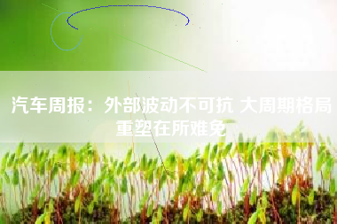 汽车周报：外部波动不可抗 大周期格局重塑在所难免