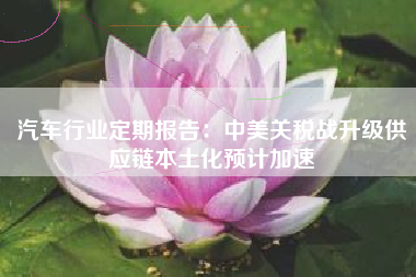 汽车行业定期报告：中美关税战升级供应链本土化预计加速