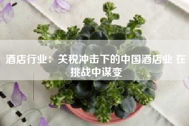 酒店行业：关税冲击下的中国酒店业 在挑战中谋变