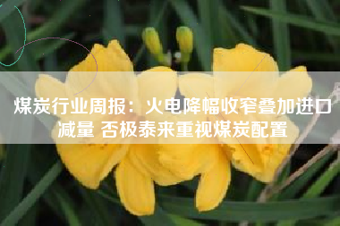 煤炭行业周报:火电降幅收窄叠加进口减量 否极泰来重视煤炭配置 煤炭行业周报:火电降幅收窄叠加进口减量 否极泰来重视煤炭配置