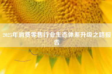 2025年消费零售行业生态体系升级之路报告