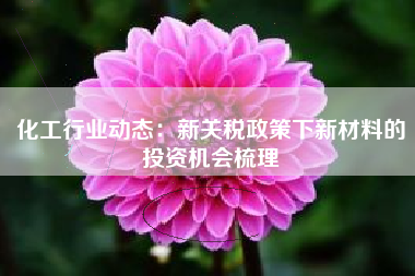 化工行业动态：新关税政策下新材料的投资机会梳理