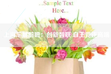 上海车展前瞻：创新智联 自主竞逐高端