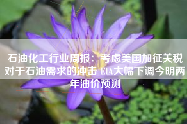 石油化工行业周报：考虑美国加征关税对于石油需求的冲击 EIA大幅下调今明两年油价预测