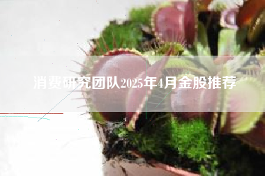 消费研究团队2025年4月金股推荐