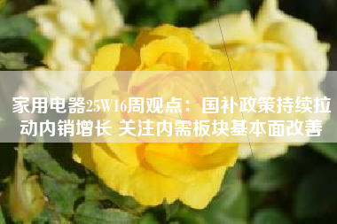 家用电器25W16周观点：国补政策持续拉动内销增长 关注内需板块基本面改善