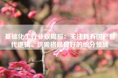 基础化工行业双周报：关注具有国产替代逻辑、供需格局良好的细分领域
