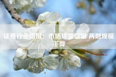 证券行业周报：市场成交缩量 两融规模下降