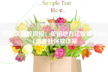养老金融双周报：美国地方法院阻止DOGE调查社保欺诈案