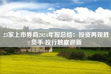 23家上市券商2024年报总结：投资再现胜负手 投行触底迎新