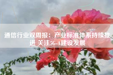 通信行业双周报：产业标准体系持续推进 关注5G-A建设发展