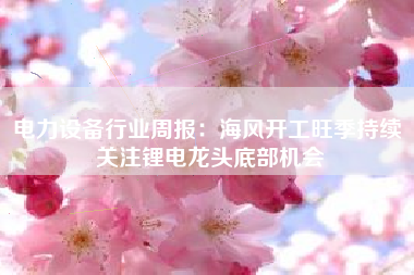 电力设备行业周报：海风开工旺季持续 关注锂电龙头底部机会