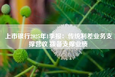 上市银行2025年1季报：传统利差业务支撑营收 拨备支撑业绩