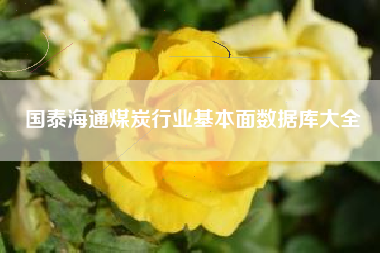 国泰海通煤炭行业基本面数据库大全