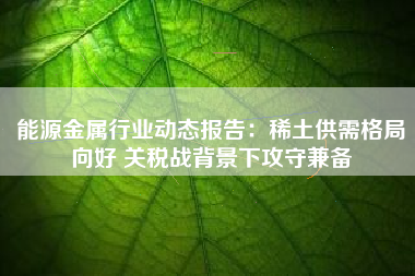 能源金属行业动态报告：稀土供需格局向好 关税战背景下攻守兼备