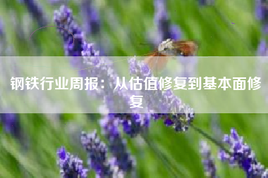 钢铁行业周报：从估值修复到基本面修复