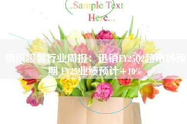 纺织服装行业周报：迅销FY25Q2超市场预期 FY25业绩预计+10%