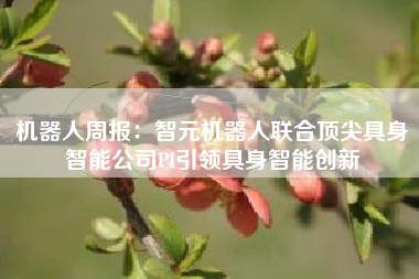 机器人周报：智元机器人联合顶尖具身智能公司PI引领具身智能创新