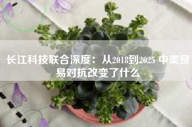 长江科技联合深度：从2018到2025 中美贸易对抗改变了什么