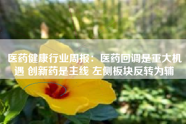 医药健康行业周报：医药回调是重大机遇 创新药是主线 左侧板块反转为辅