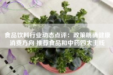食品饮料行业动态点评：政策明确健康消费方向 推荐食品和中药四大主线