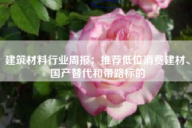 建筑材料行业周报：推荐低位消费建材、国产替代和带路标的