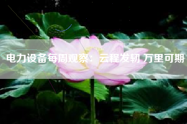 电力设备每周观察：云程发轫 万里可期