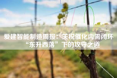 爱建智能制造周报：关税催化内需闭环 “东升西落”下的攻守之道
