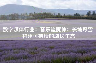数字媒体行业：音乐流媒体：长坡厚雪 构建可持续的增长生态