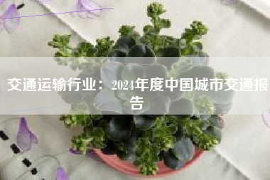 交通运输行业：2024年度中国城市交通报告